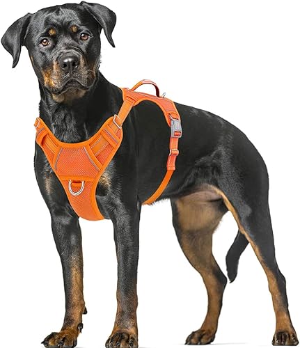BARKBAY - Arnés para perro sin tirones, reflectante, con clip frontal y agarradera de fácil control para entrenamiento, con bolsillo para