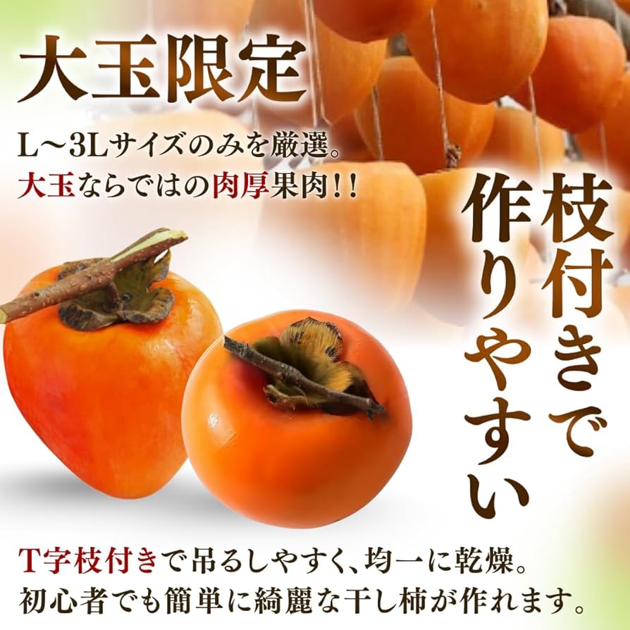 江戸柿　10kg 2L以上　百目　奈良県産　干し柿用　つるし柿用　枝付き　渋柿 柿 10kg 大和柿【干柿用渋柿】徳島産 ご家庭用 送料無料 食品