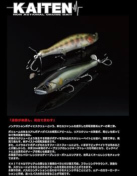 Amazon.co.jp: ガンクラフト(Gan Craft) KAITEN178 NS #01 邪鮎