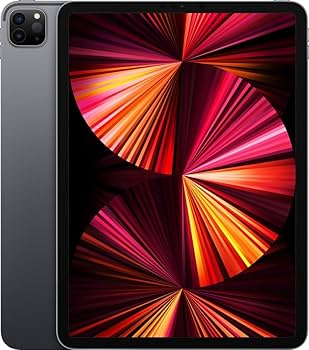 Amazon.com : Apple 2021 11-inch iPad Pro (Wi-Fi, 256GB) - Space