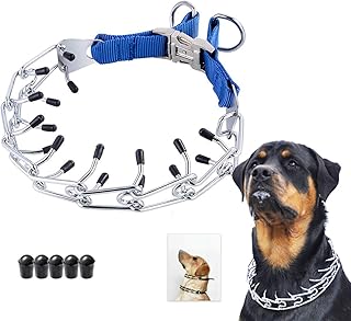 Mayerzon Dog Prong Training Collar, Stainless Steel Choke Pinch Dog Collar with Comfort Tips (Collar)