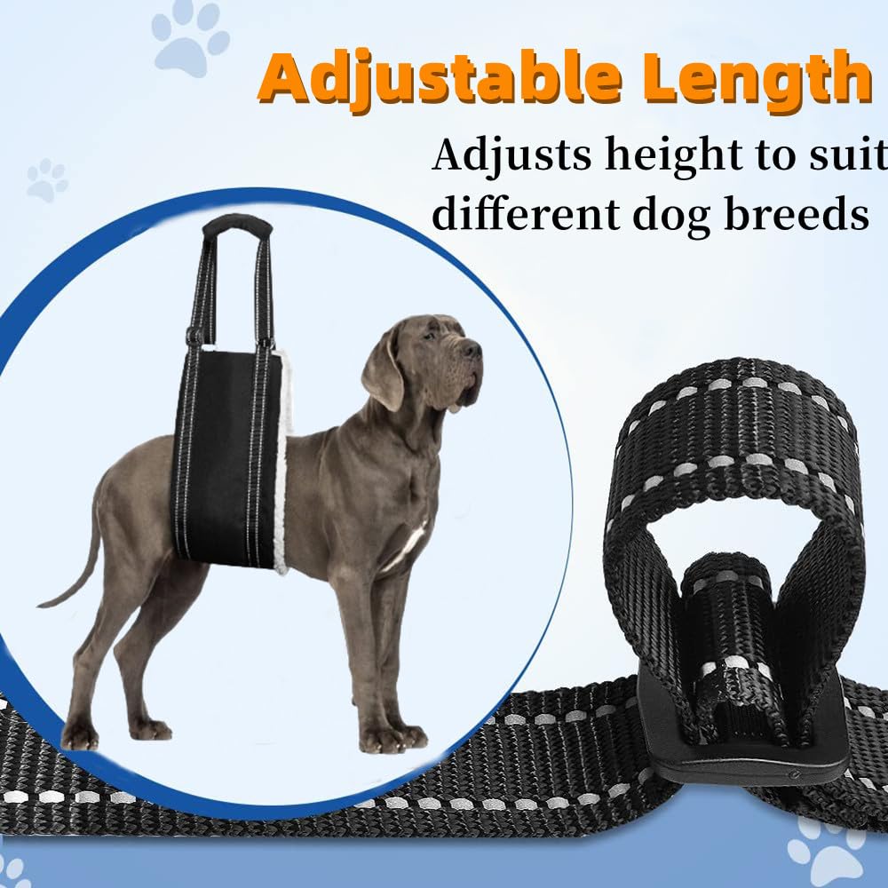 Harnais pour Chien Handicapé, Harnais de Levage Réglable | pour Soutenir Les Chiens Handicapés et Âgés pour Les Chiens de Petite, Moyenne Grande Taille (M)