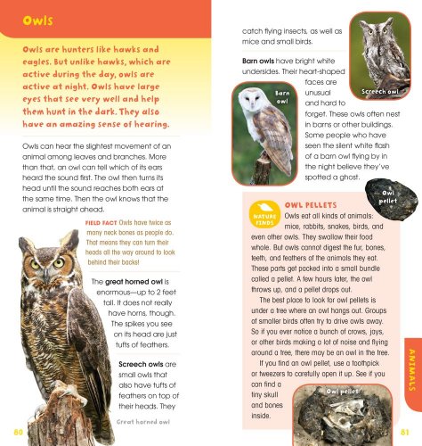 A Walk in the Woods: Into the Field Guide - Image 12