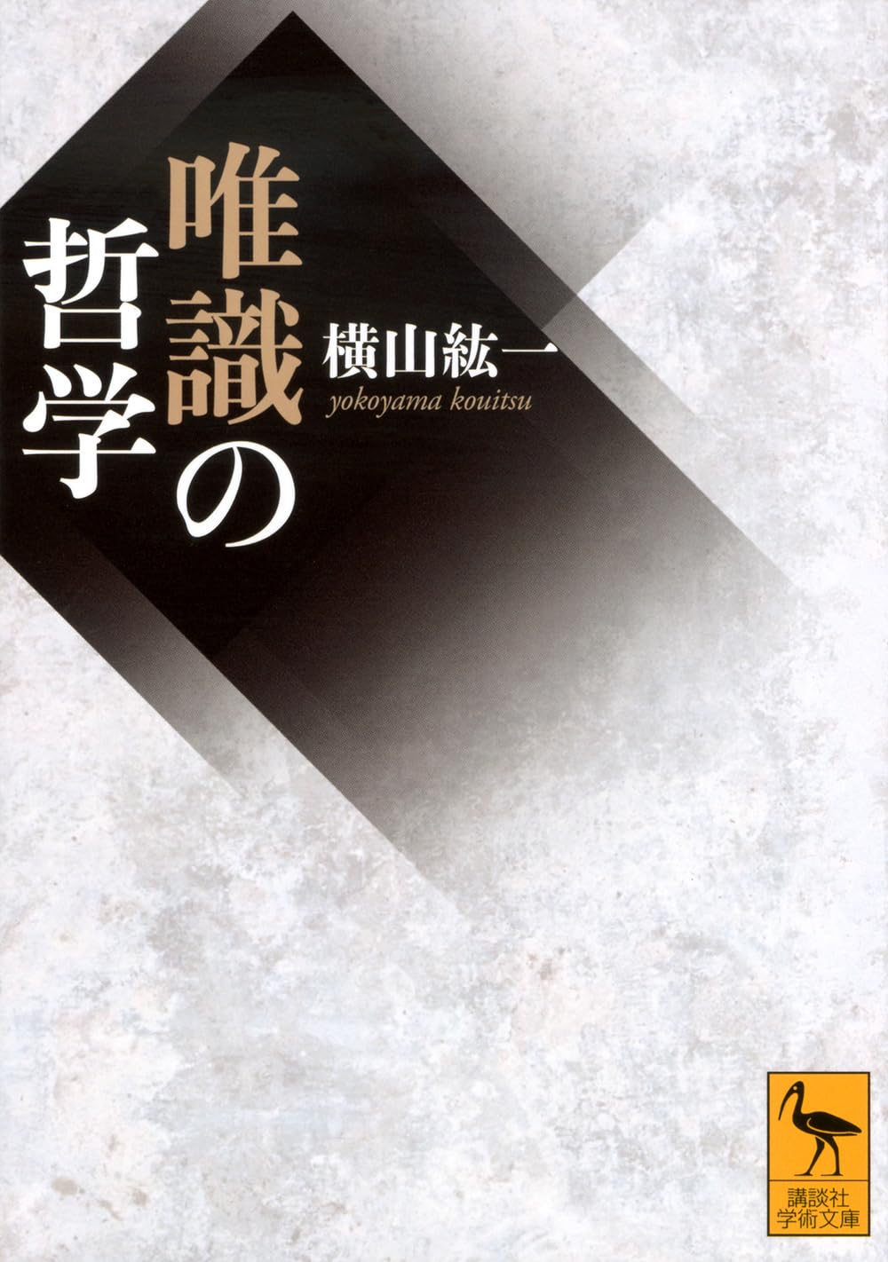 【未使用】唯識　仏教辞典　　横山紘一 81sI+x2Px3L.jpg