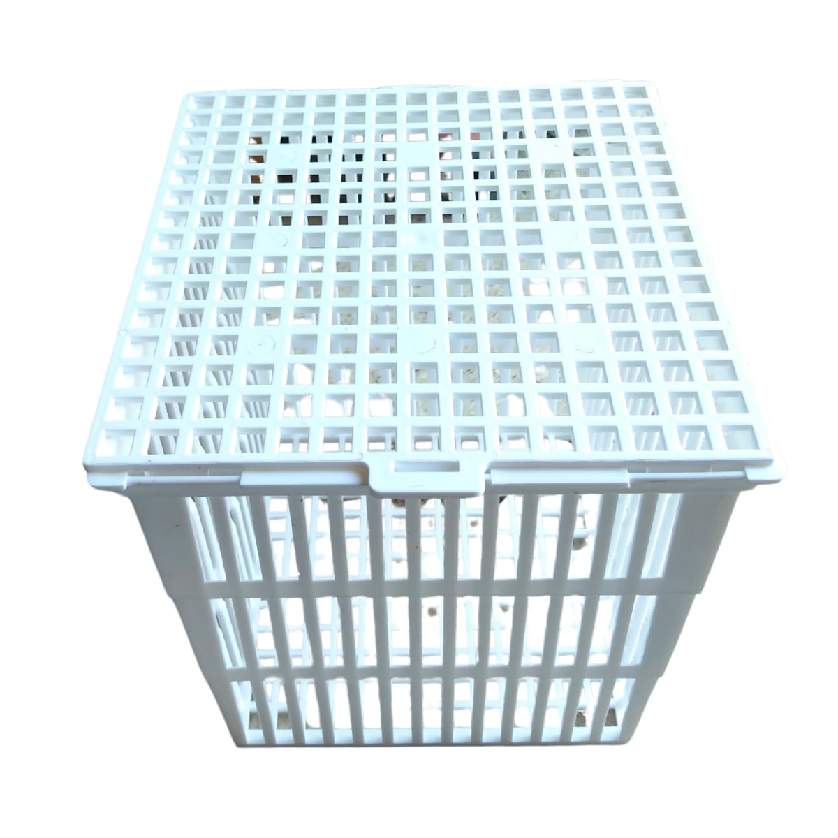 AANIJ® Test Tube Basket with cover Size 230 x 230 x 230 mm Pack of 6 Laboratory Test Tube Basket for Washing, Drying & Storage | Chemical Resistant, Stackable Lab Tube Holder-image-21