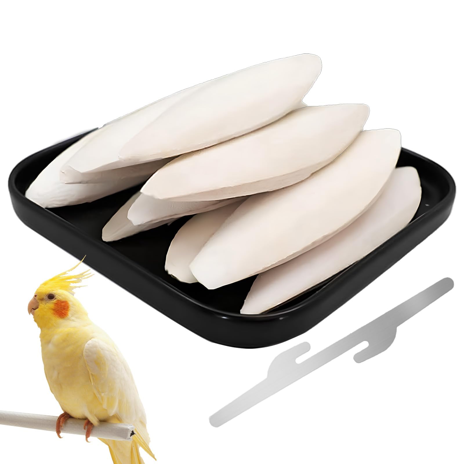10 Stück 8-12 cm Sepiaschalen, Sepiaschalen Mit Halterung, Handgemachte Tintenfischschalen, für Vögel Reptilien Schildkröten Bartagamen und Schnecken Optimale Kalzium u Mineralversorgung