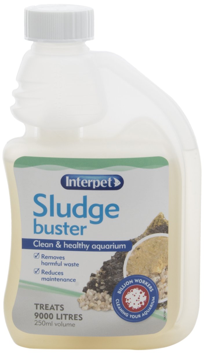 Interpet Sludge Buster Aquarium Treatment, 250 ml, Removes Harmful Waste, Reduces Maintenance, Fast Acting Beneficial Bacteria