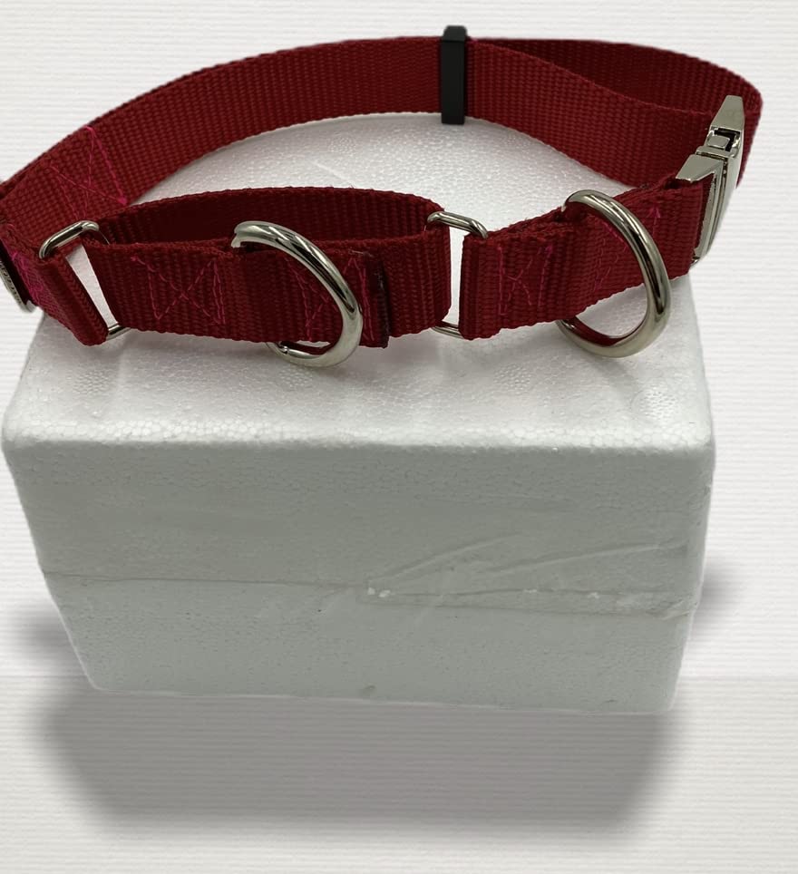 Miniatura 2 de Carter Pet Supply Martingale Dog Collar METAL BUCKLES 2 D RINGS Greyhound Training Collar (Small, RED)