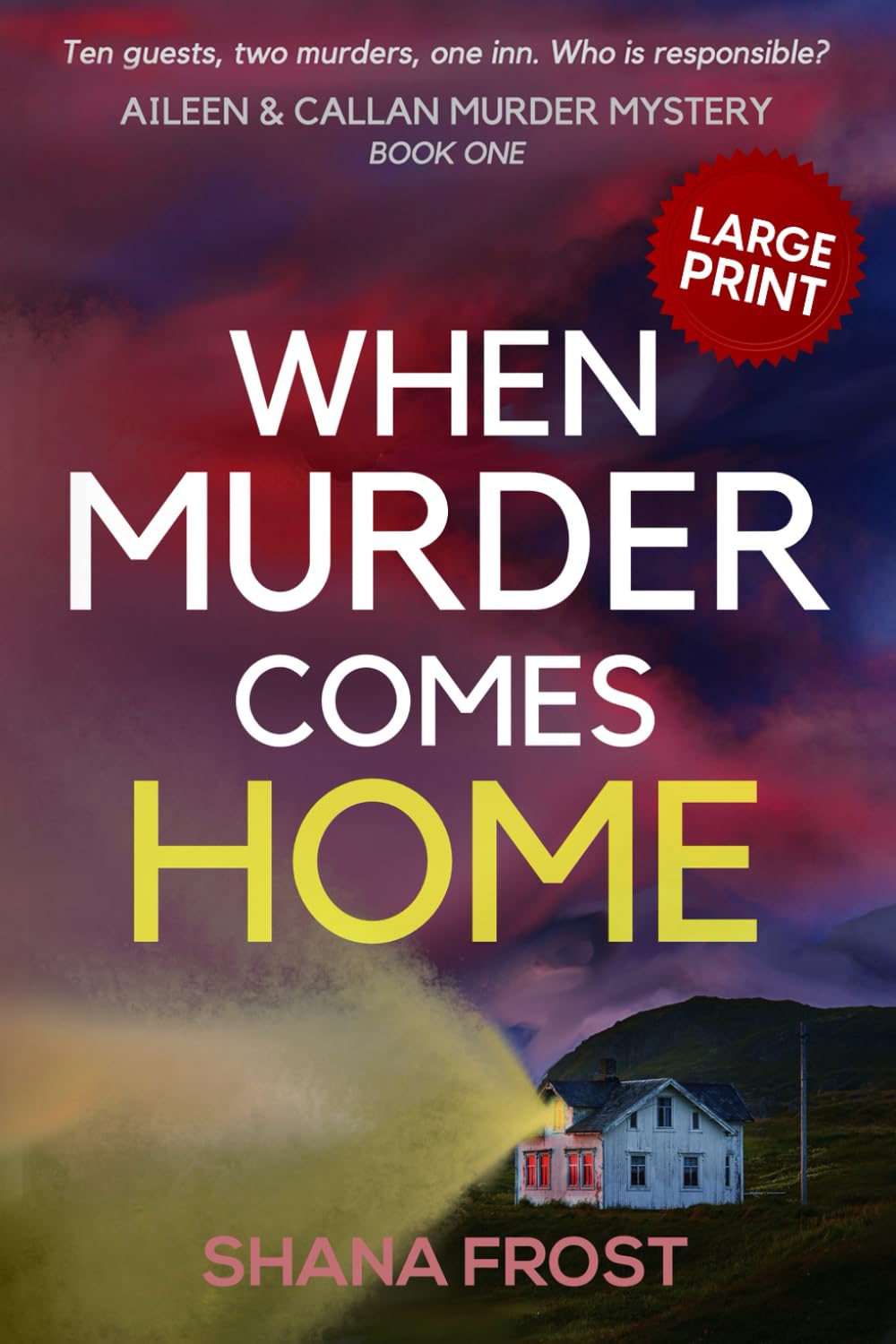 When Murder Comes Home (Aileen and Callan Murder Mysteries (Large Print))