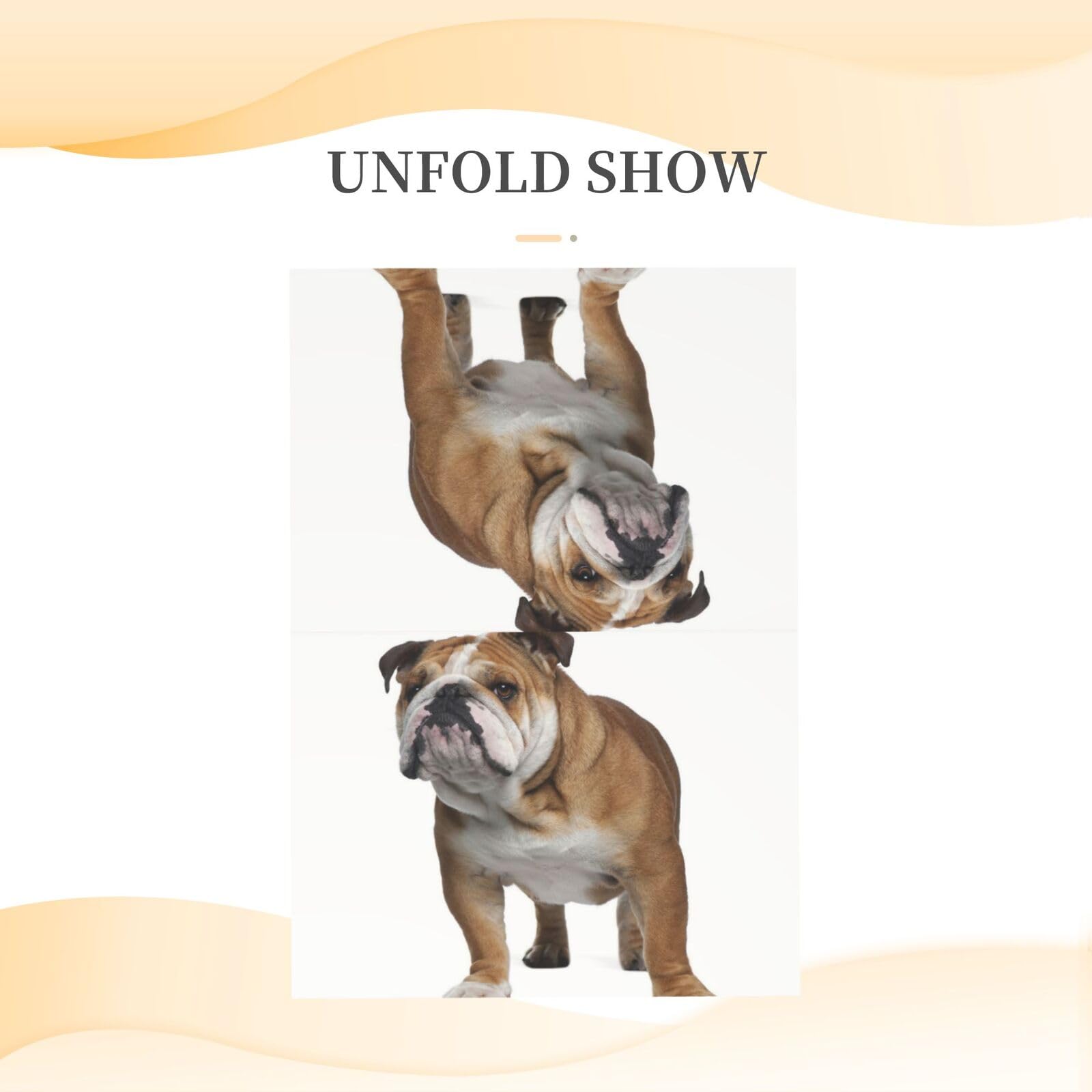 Grußkarte Englische Bulldogge – Hochwertige Klappkarte, Innen Leer – 12,7x17,8 Cm Für Geburtstag, Dankeschön & Mehr