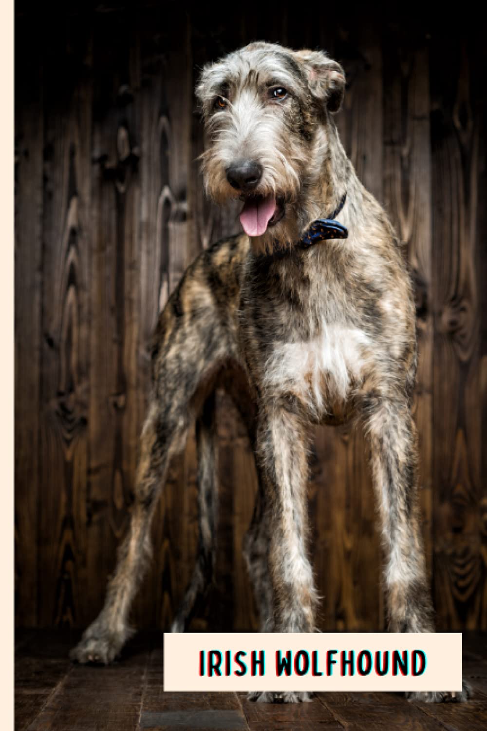 Irish Wolfhound: Composition Notebook For Irish Wolfhound Dogs Lovers , Irish Wolfhound Lined Journal ,6x9 Inches , 110 Pages ,Irish Wolfhound Diary