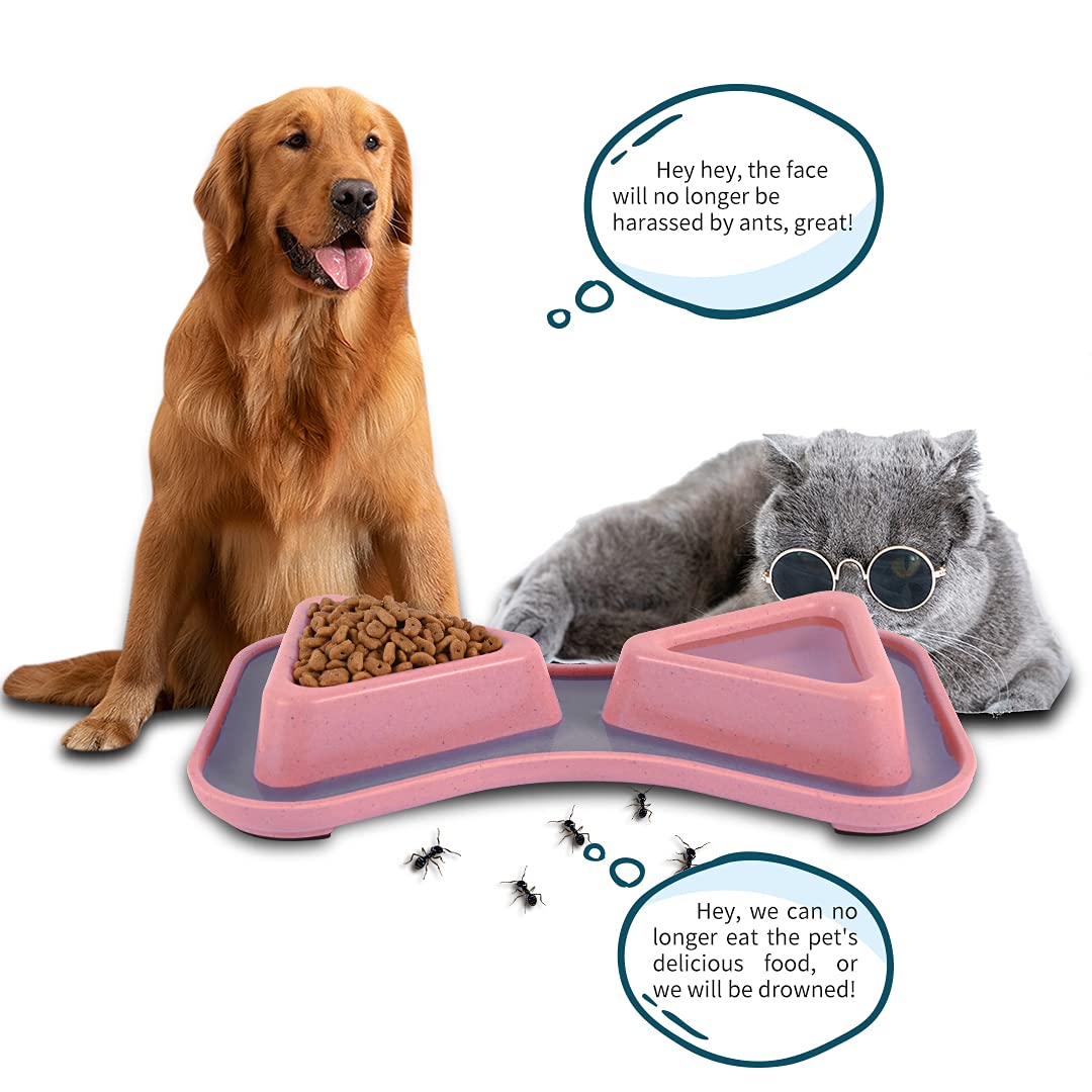 How Do You Keep Ants Out Of Dog Food