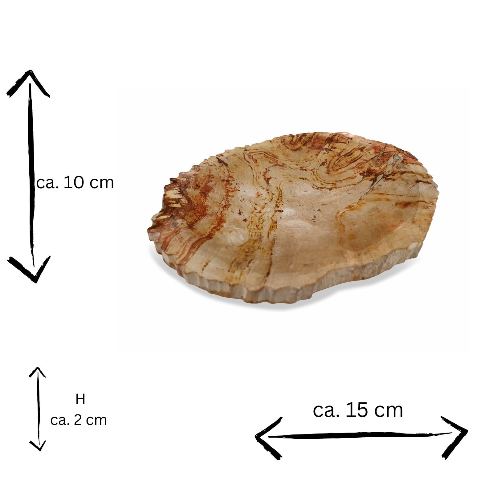 Jabonera de madera fosilizada - 10 x 15 cm piedra natural jabonera en aspecto moderno accesorio de baño