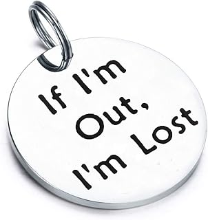 Gzrlyf Pet ID Tag Engraved If I’m Out I’m Lost Personalized Collar Tags Gifts for Dog Cat (Silver)