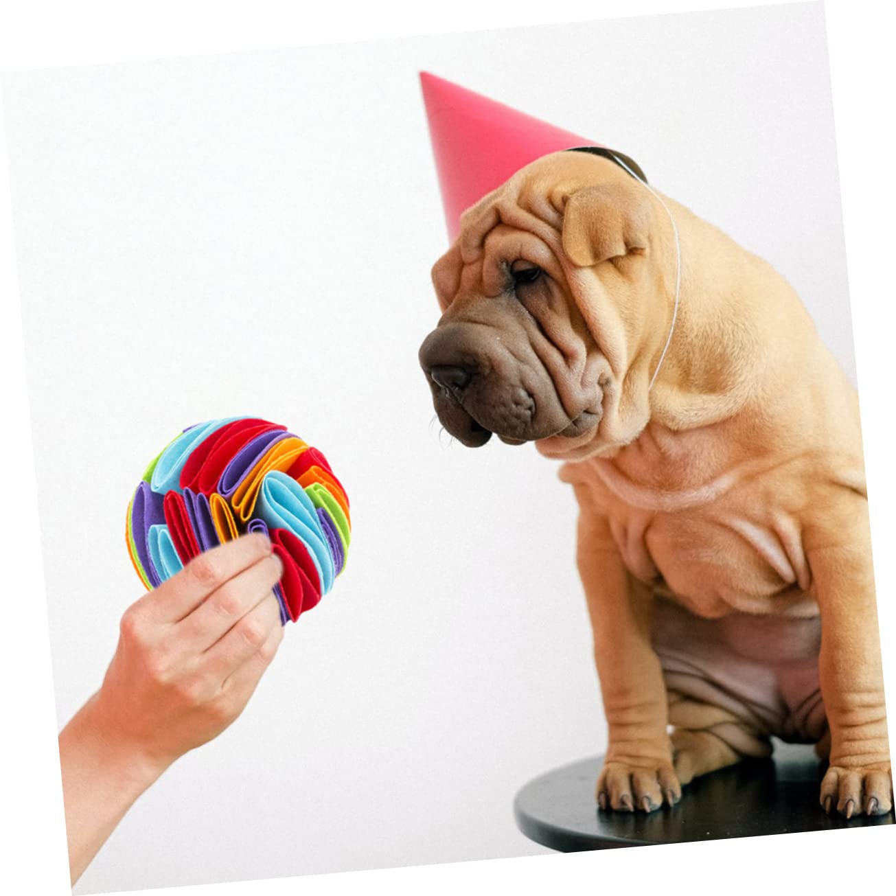 Kisangel 4stücke Interaktive Hundeschnüffelball Fördert Geruchssinn Langsames Fressen Attraktives Design Für Hunde Aller Farben