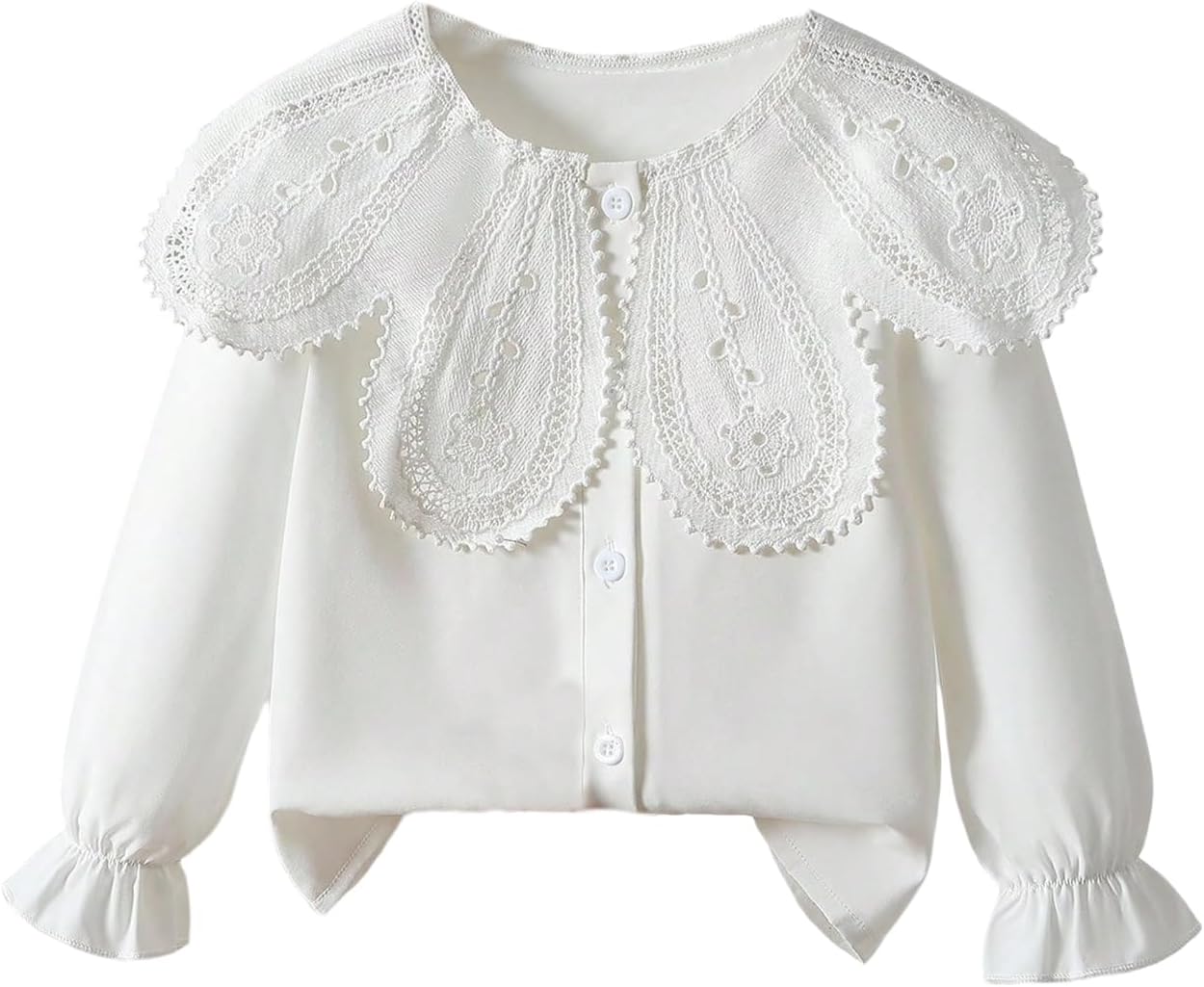 Verdusa Toddler Girl's Floral Eyelet Button Up Blouse Ruffle Collared Boho Chic Tops