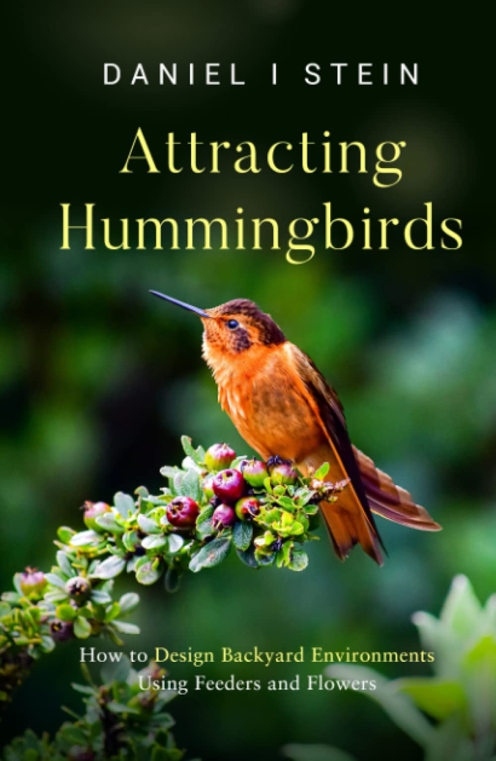 Attracting Hummingbirds: How to Design Backyard Environments Using Feeders and Flowers (Simple Sustainable Living)