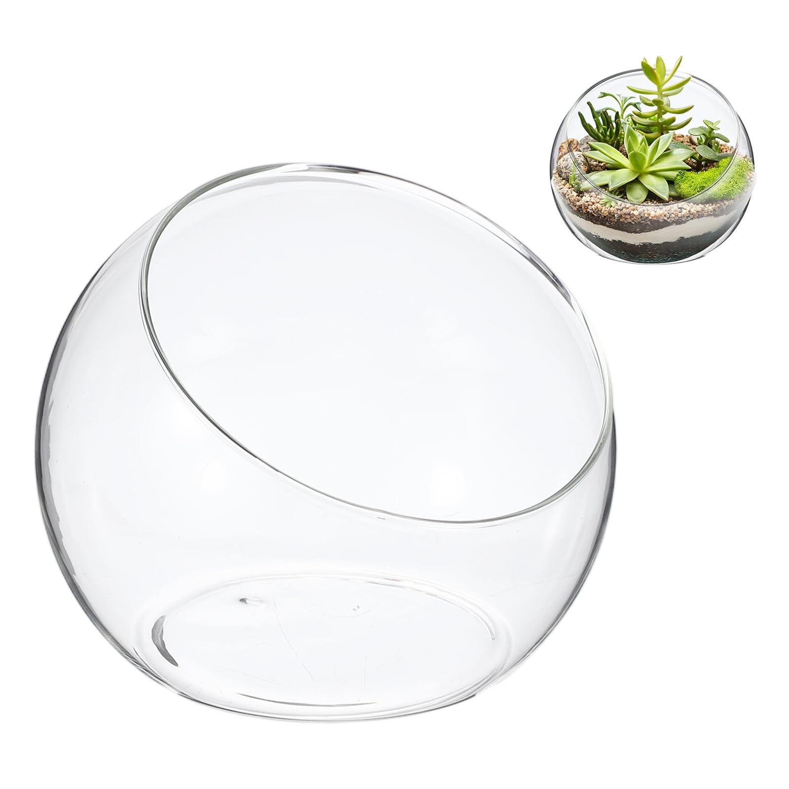 M METERXITY 1-Pack Clear Glass Air Plant Terrarium, 4.5 Inch Wide Mouth Angled Plant Display Glass for Windowsill/Outdoor Garden/Home Decor, Flat Bottom Globe Bowl Terrarium [Transparent]