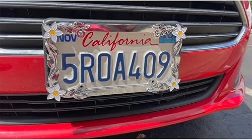 Miniatura 3 de Cruiser Accessories 19130 margarita, cromopintado