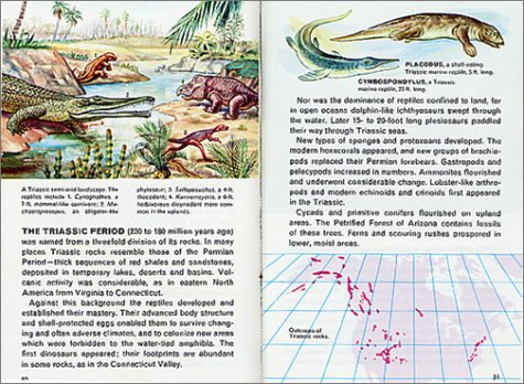 Fossils: A Fully Illustrated, Authoritative And Easy-To-Use Guide (A Golden Guide From St. Martin's Press) #TOP2