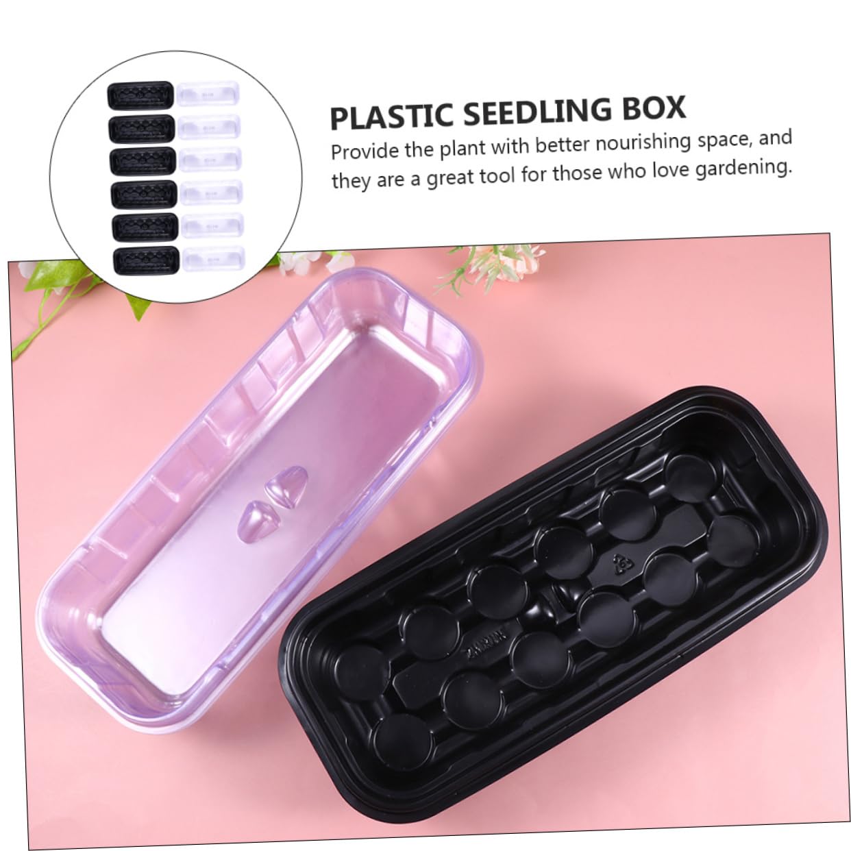 Toddmomy 12 Ensembles Boîtes de Germination pour Plantes Plateau de Propagation pour Jardin Intérieur avec Couvercles Transparent et Supports de Pellets