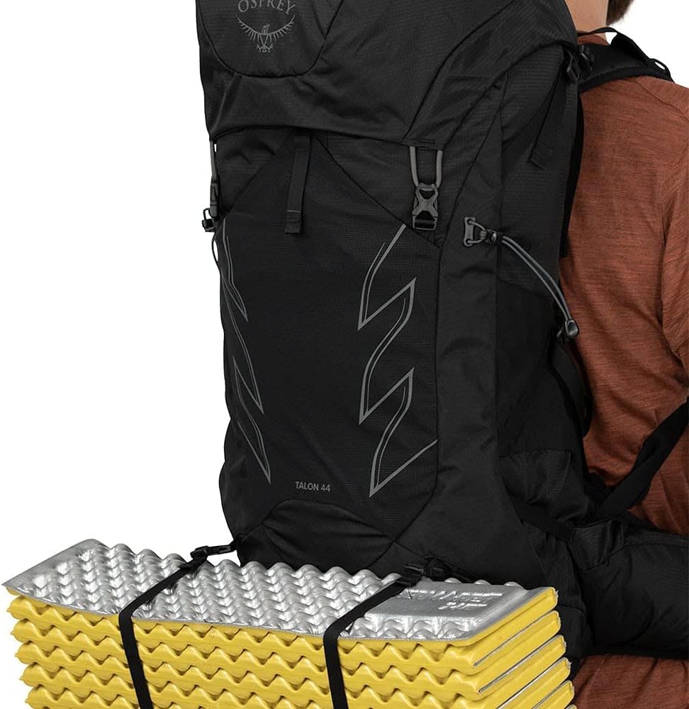 Amazon.co.jp: OSPREY(オスプレー) タロン44 OS50234 ステルス