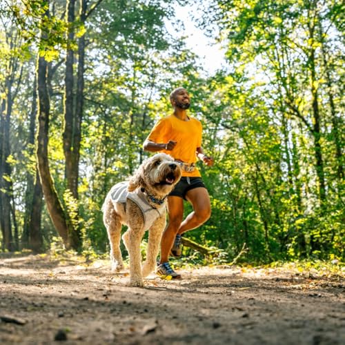 RUFFWEAR Hunde-Kühlweste Swamp Cooler™ Vest, SPF 50+, Maximale Abdeckung, kühlende Abdeckung mit Gurtzeug/Bleiportal, Sonnenschutz, um Haustiere kühl zu halten, Biolumin Blue, Large, 81-91 cm