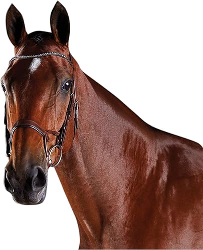 Collegiate ComFiTec Crystal Bridle