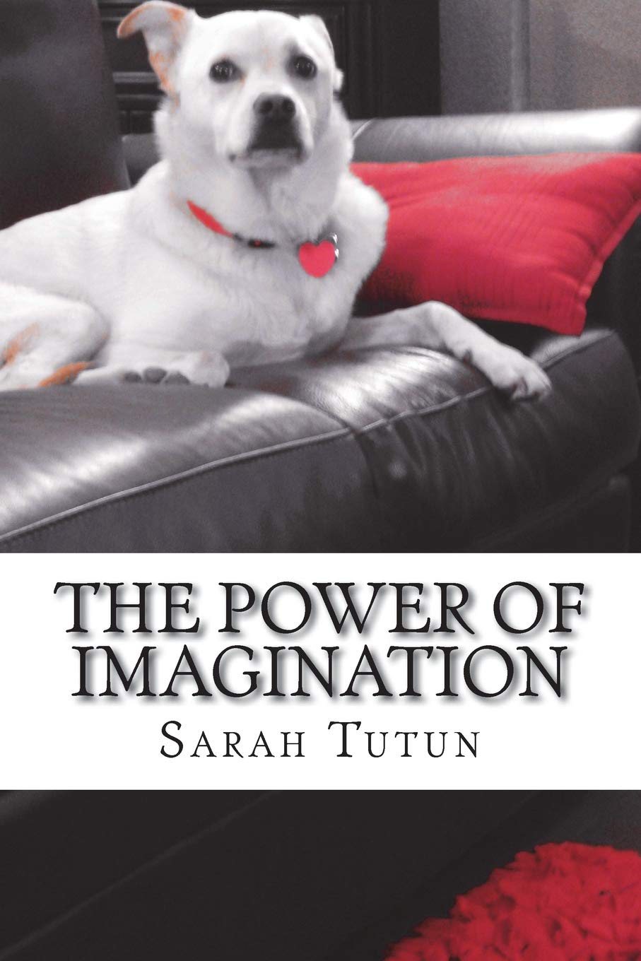 The Power of Imagination