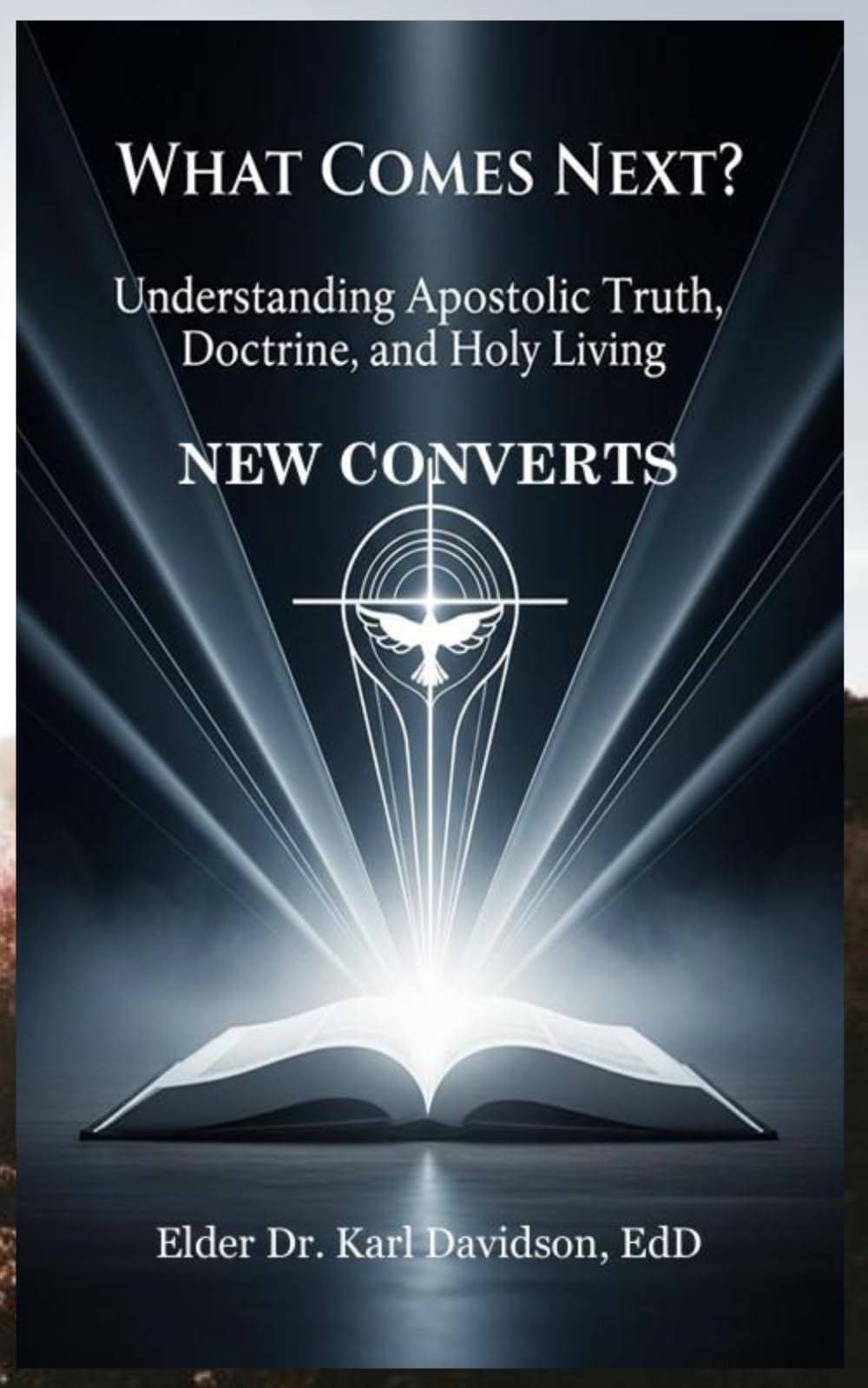 What Comes Next?: Understanding Apostolic Truth, Doctrine, and Holy Living