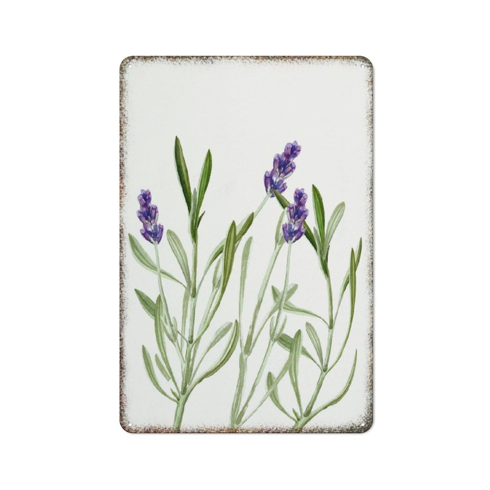Lavender Watercolor Floral Vintage High Gloss Metal Wall Print Summer Style Decor for Home Kitchen Household 8x12 Inch