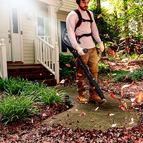 Lawnmaster NPTBL31AB No-Pull Backpack Leaf Blower thumb #6