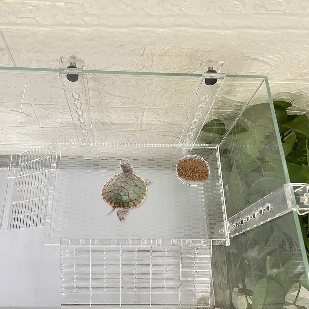 Snapklik.com : Hanging Turtle Basking Platform Multifunctional Acrylic ...