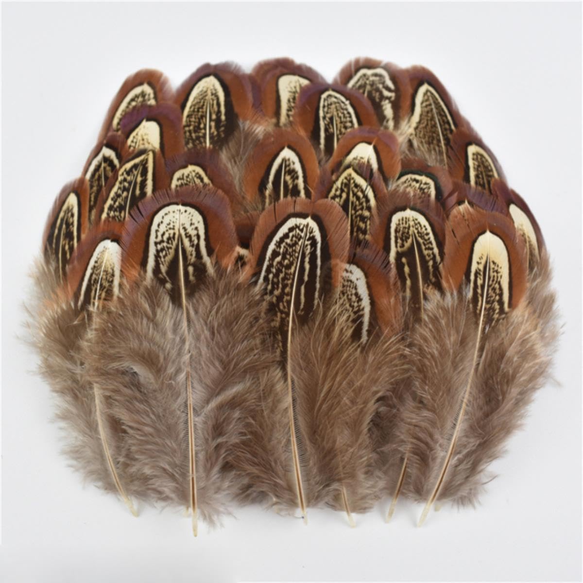 Natürliche Pfauenfasanenfedern, kleine Hühnergänsefedern, Materialien, Bastelzubehör, Dekoration, Größe 3–7 cm, 500 Stück