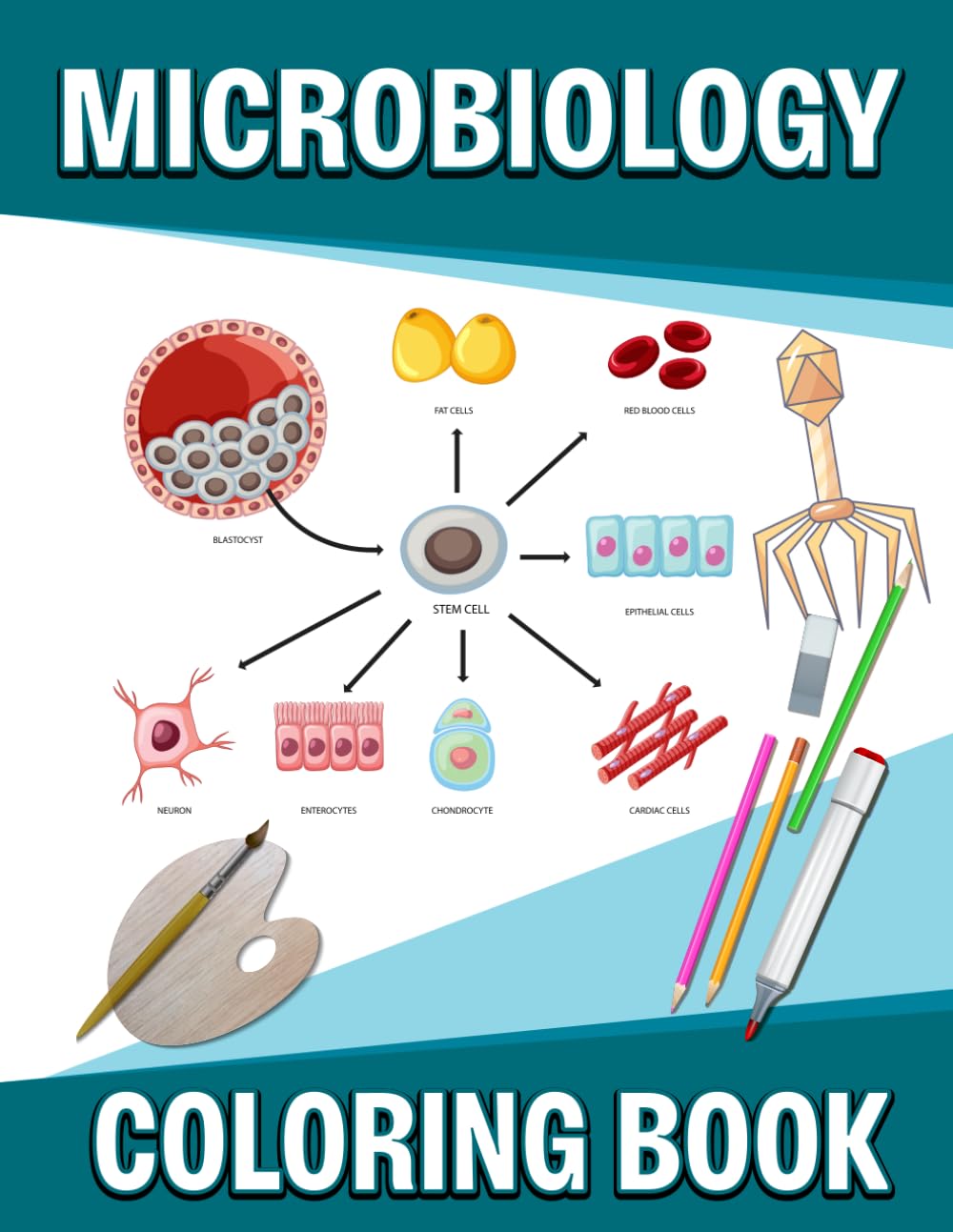 Microbiology Coloring Book: Educational microbiology coloring workbook presenting illustrations of bacteria viruses fungi and cells for classroom learning and student study