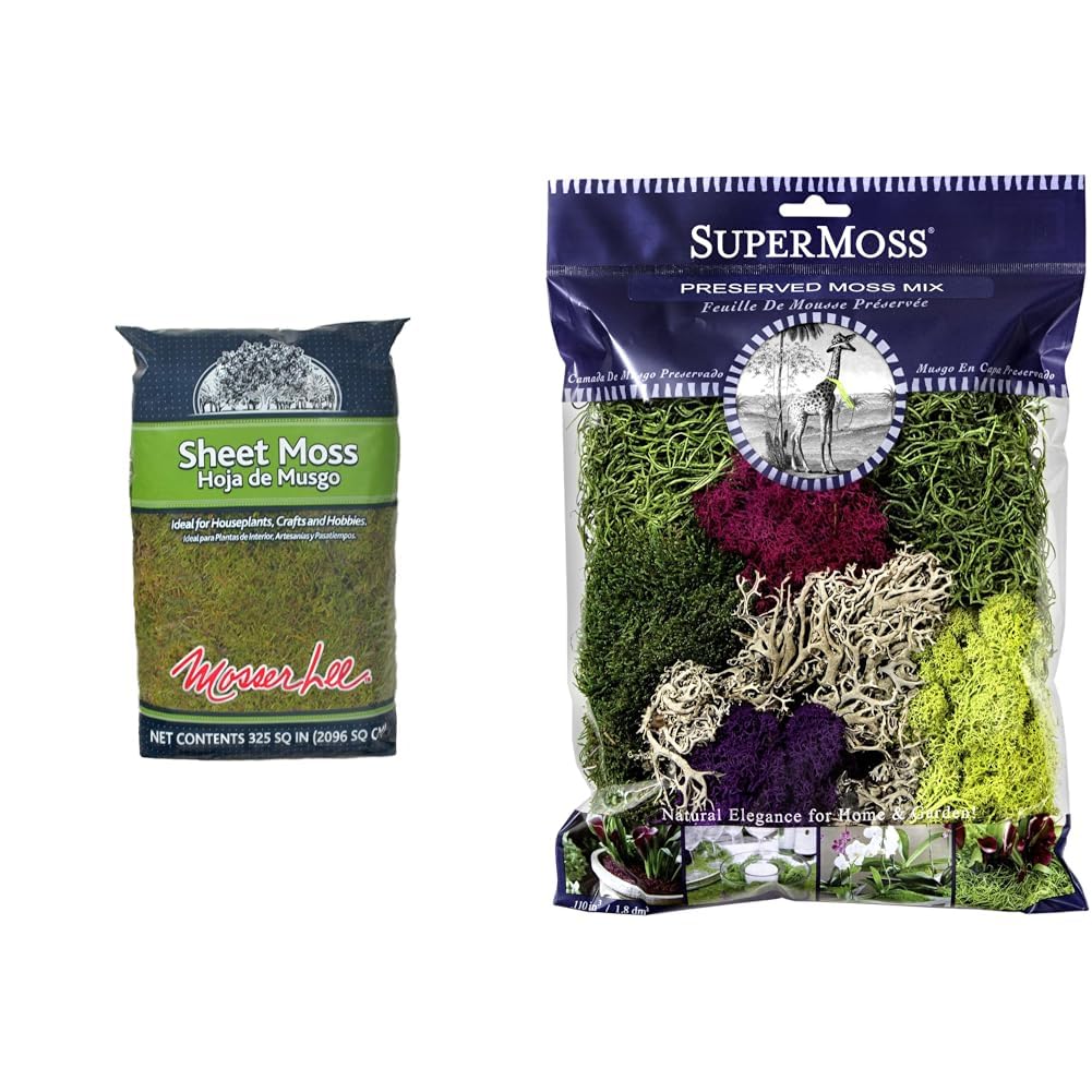 Mosser Lee ML0460 Natural Green Sheet Moss, 325 sq. in. & SuperMoss (23311) Elegant Decorative Mixed Moss, Multicolor, 120 cu.in., White