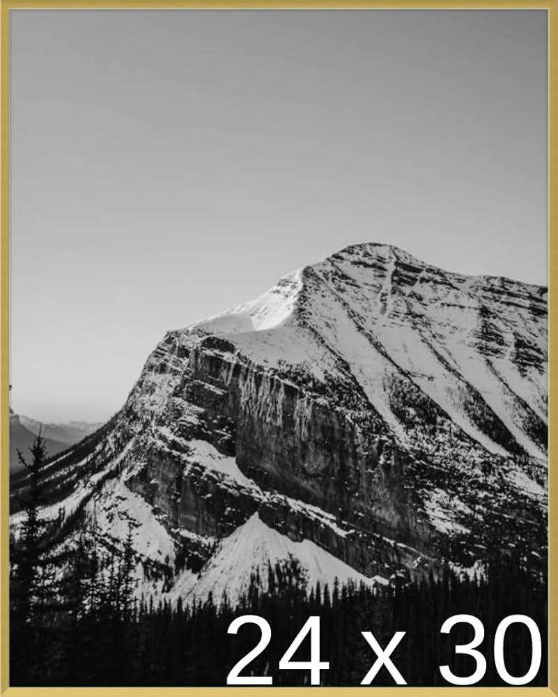 ポスター　横　特寸法　ピターモツツ　額装仕上げ品 木製ポスターフレーム 特注サイズ 前面アクリル仕様（1mm厚