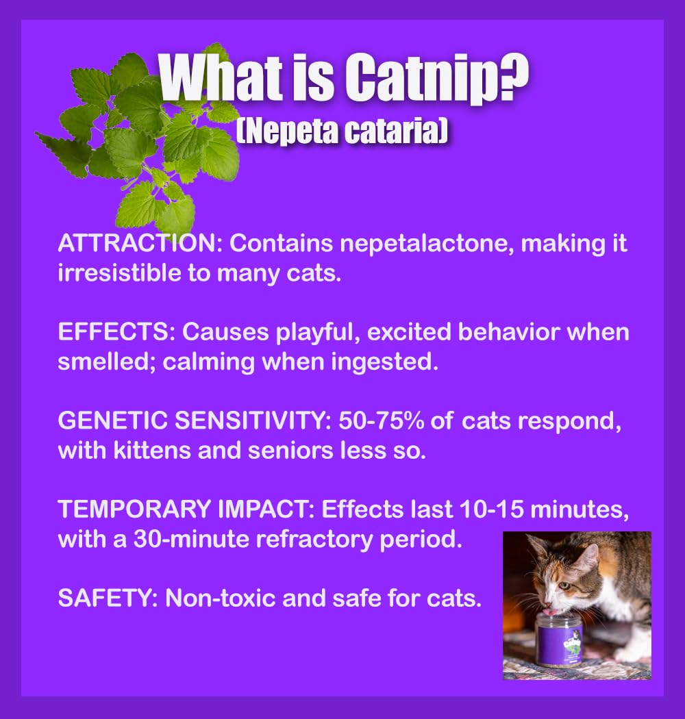 DesertUSA, Catnip Blend - Non-Addictive Catnip Treats for Enhanced Playfulness. North American Crafted, 100% Natural. Ideal for Complementing Catnip Toys, Catnip Spray, and Cat Accessories (1 Cup)