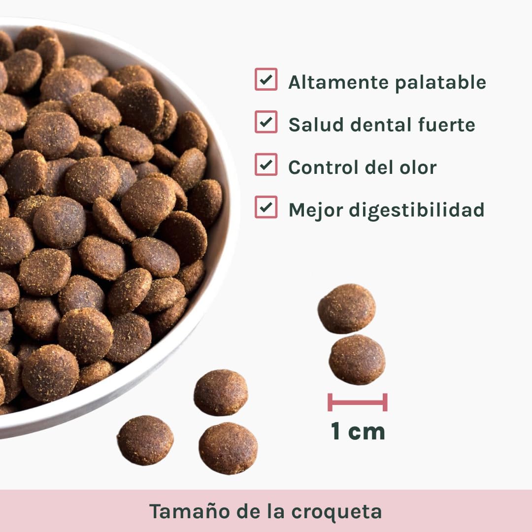 Caty’s Pienso Natural para Gatos Urinary 12 kg - Comida Seca de Pollo y Arroz para Transtornos Urinarios - Facil Digestion Alta Palatabilidad - Producto Nacional 100% (12Kg)