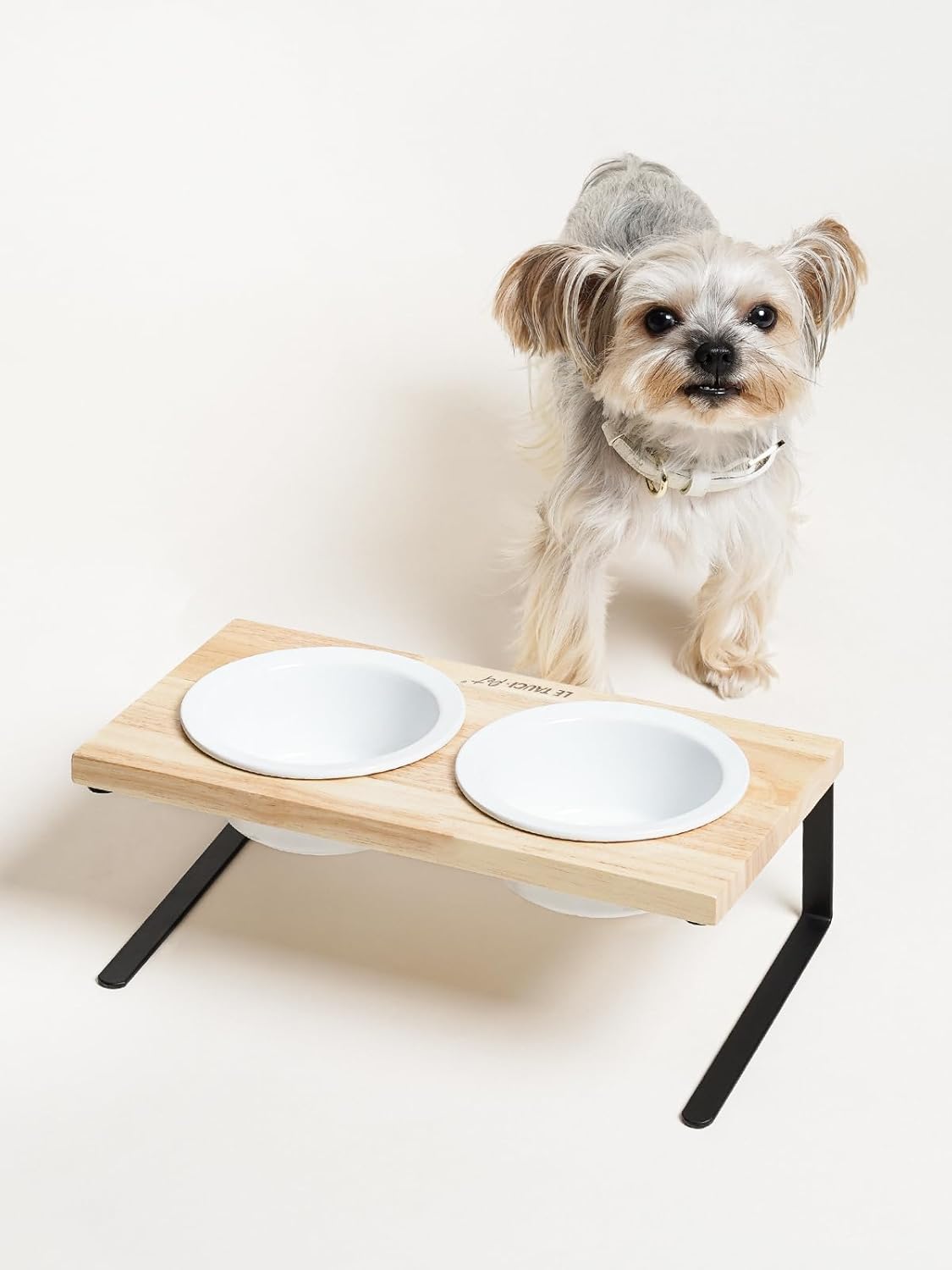 Elevated Dog Bowls, Raised Dog Bowl Stand with Two 5.1 inch Ceramic Bowls, Non-Slip Cat Food and Water Dish for Small and Medium Breed, White - Image 9