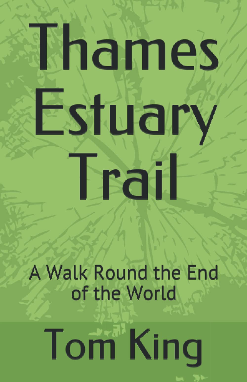 Thames Estuary Trail: A Walk Round the End of the World (Desert Island Travels)