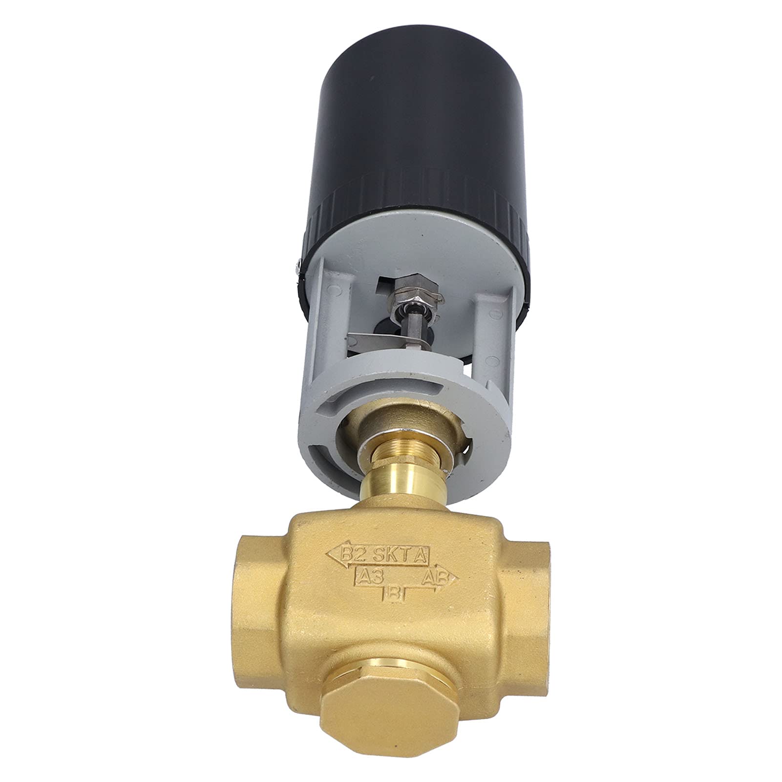 Rengue Válvula Motorizada Eléctrica 2 Vías, Latón BSP 220V CA para