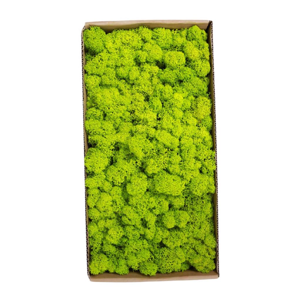 ECYC Ltd 52.9 OZ Fake Moss Preserved Simulation Artificial Moss Grass Artificial Reindeer Moss Craft Moss for Arts Floral Project, Terrariums, Fairy Gardens, Wedding Centerpieces, Wall Decor