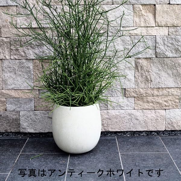 Amazon.co.jp: 別売の適合受皿あり 植木鉢 おしゃれ テラニアス