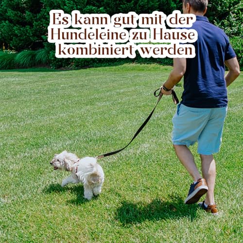 Verstellbar Hundehalsbänder Braun, Weich Langlebig Hundehalsband aus Leder für kleine Hunde