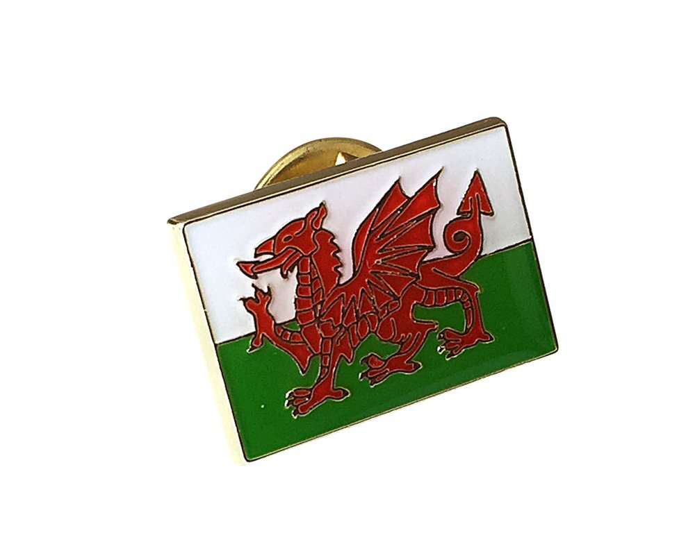 KnF Supplies Metal Enamel Pin Badge Brooch Welsh Wales Flag