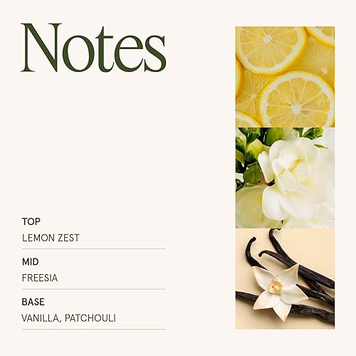 Miniatura 13 de La Jolie Muse - Vela Rose Noir & Oud - Limón, rosa y oud - Vela grande de 19 oz con mecha de madera, cera de soja natural y 90 h de combustión Rosa