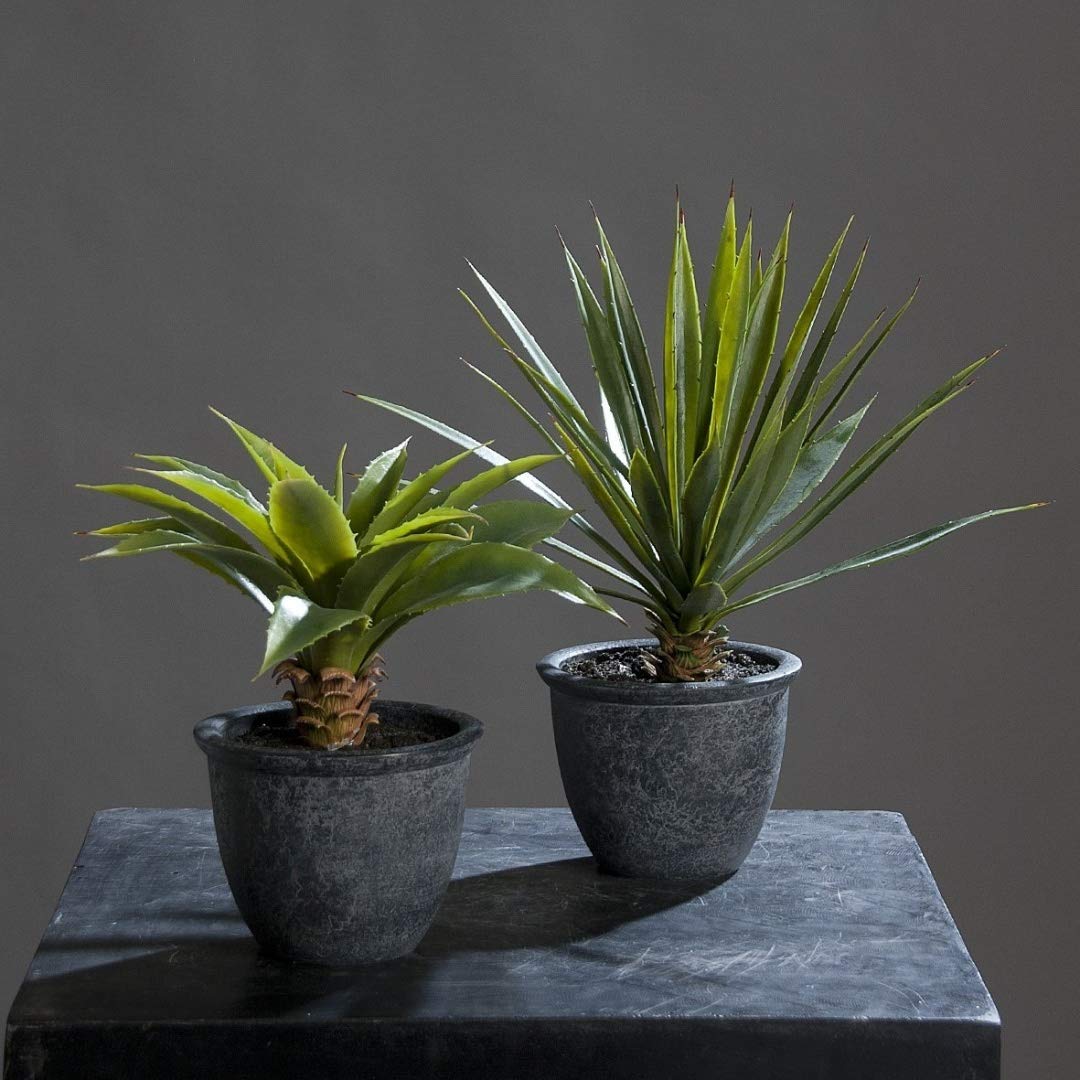 Aloe im Topf 40 cm 2er Set Kunstpflanzen von DPI
