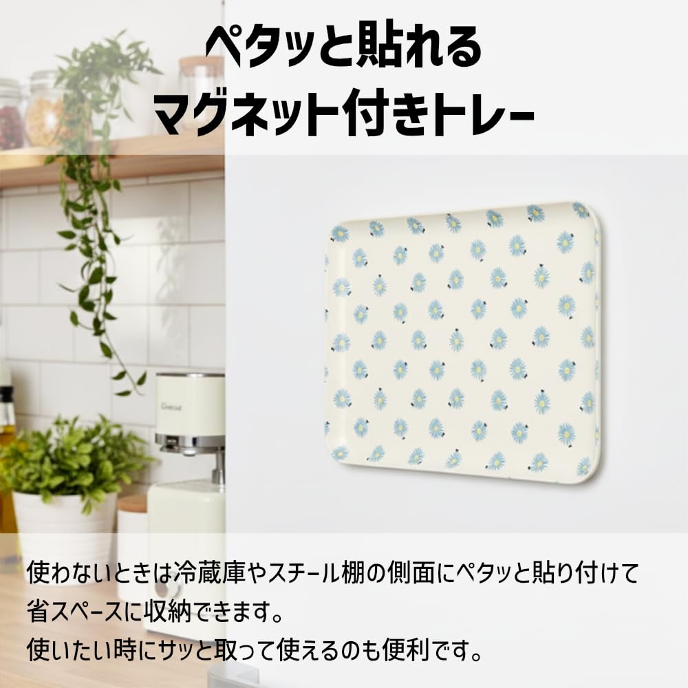 Amazon.co.jp: TATSU-CRAFT（タツクラフト） マグネットトレー L 39cm