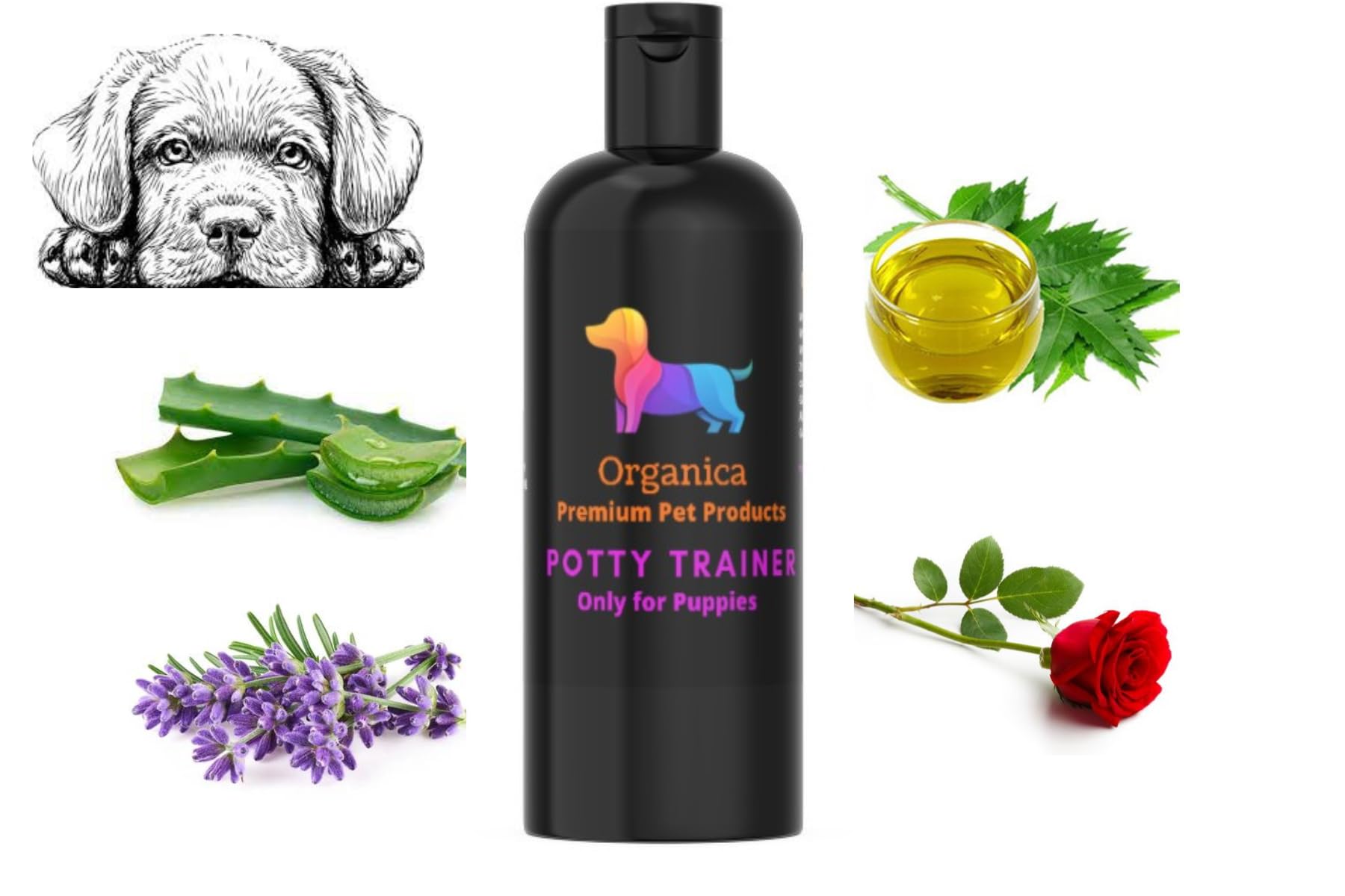 Organica Potty Training Spray for Puppy - 300 ml | Potty Training, Dog Potty Training Spray, Potty Training Spray, Urine Training Spray,Puppies and Dogs Poop Spray for Dogs Potty Training (600 ml) (B0CTCB59YX) Amazon Price History, Amazon Price Tracker